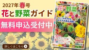 カタログ請求！